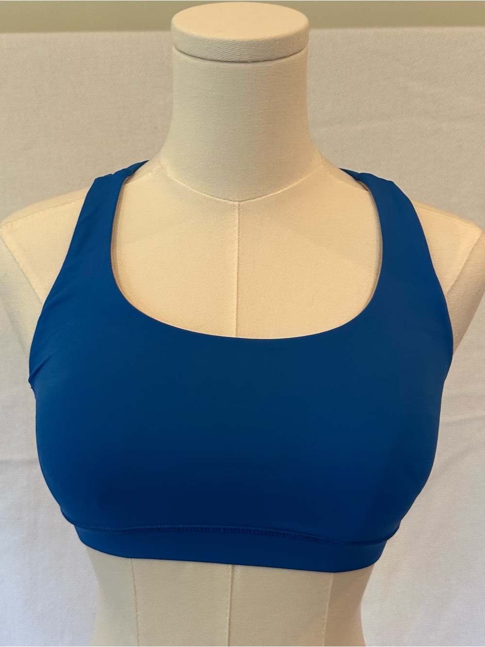 lululemon athletica Blue Sports Bra Size 2